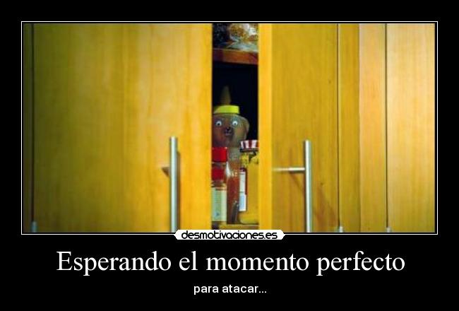 Esperando el momento perfecto - para atacar...