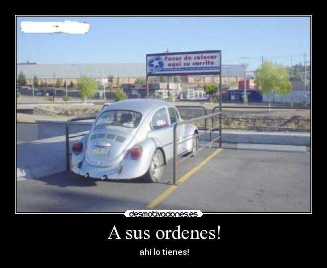 A sus ordenes! -