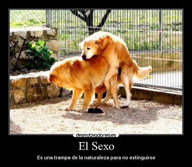 El Sexo - Es una trampa de la naturaleza para no extinguirse