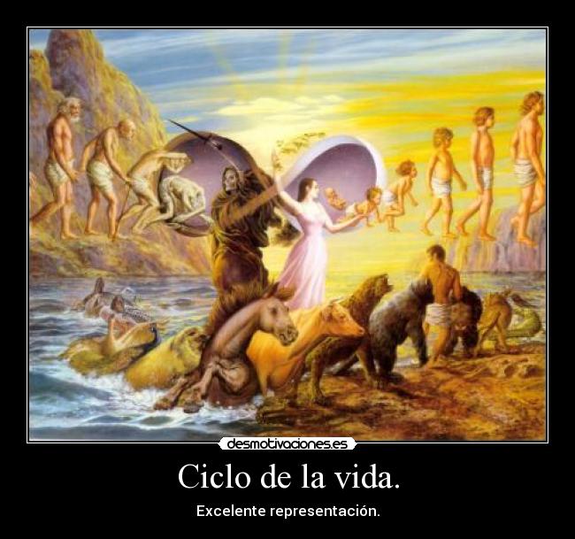 Ciclo de la vida. - Excelente representación.