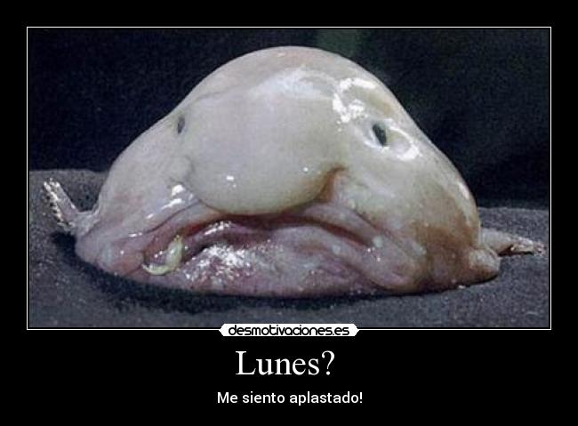 Lunes?  - Me siento aplastado!
