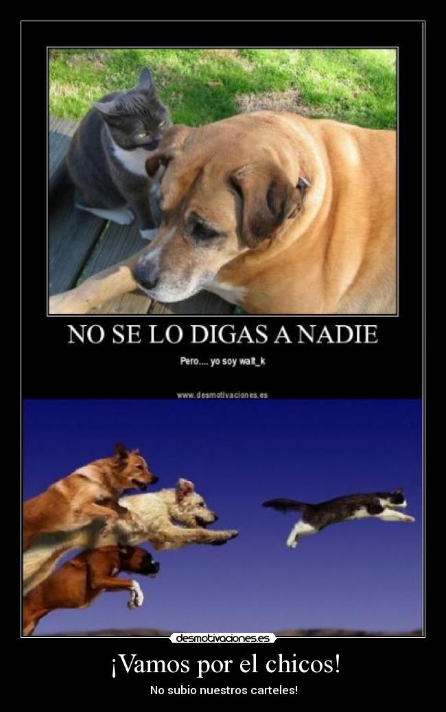 ¡Vamos por el chicos! - No subio nuestros carteles!
