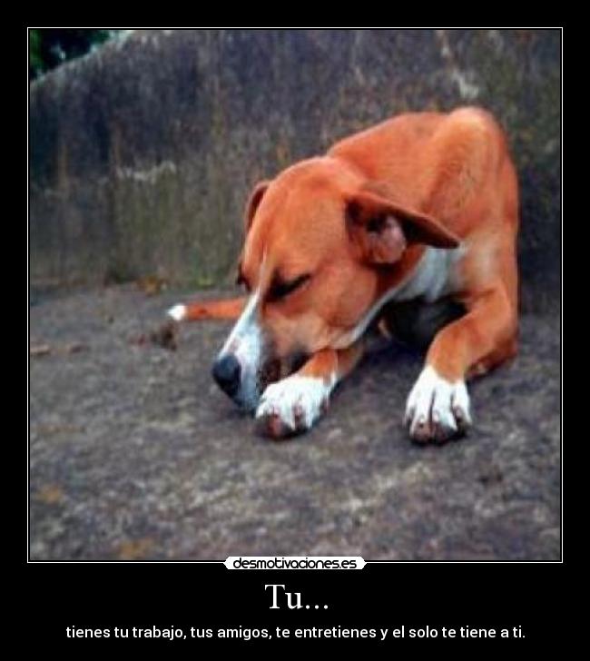 carteles perro trabajo amigos entretenimiento solo desmotivaciones