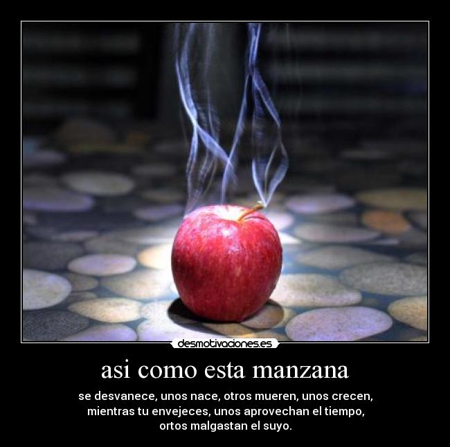 asi como esta manzana - se desvanece, unos nace, otros mueren, unos crecen,
mientras tu envejeces, unos aprovechan el tiempo,
ortos malgastan el suyo.