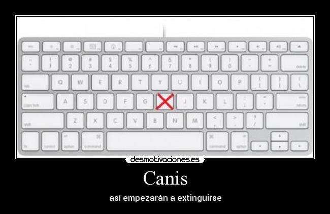 Canis - así empezarán a extinguirse