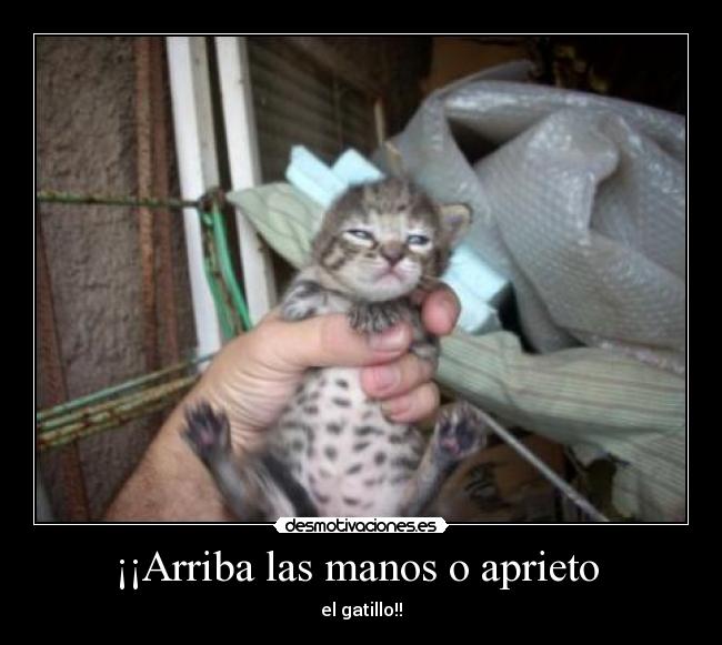 ¡¡Arriba las manos o aprieto -