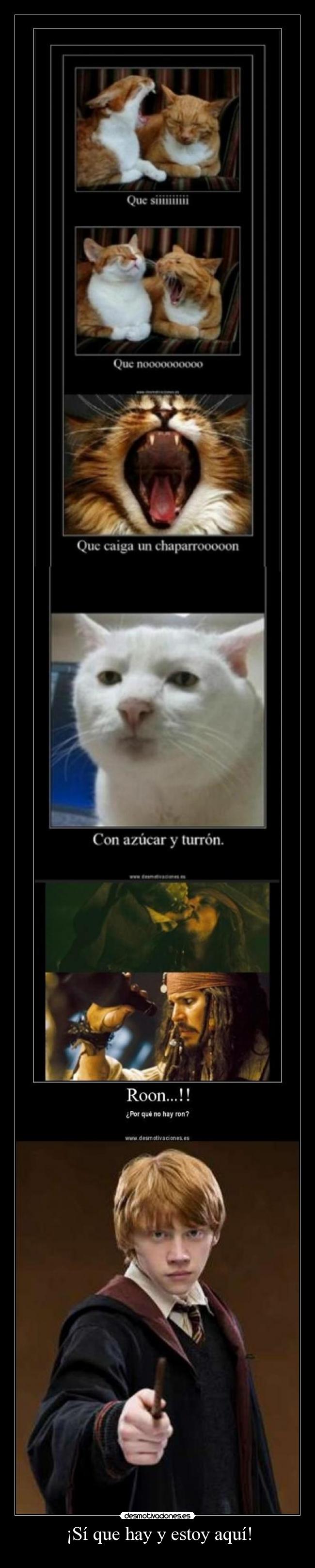 ¡Sí que hay y estoy aquí! -