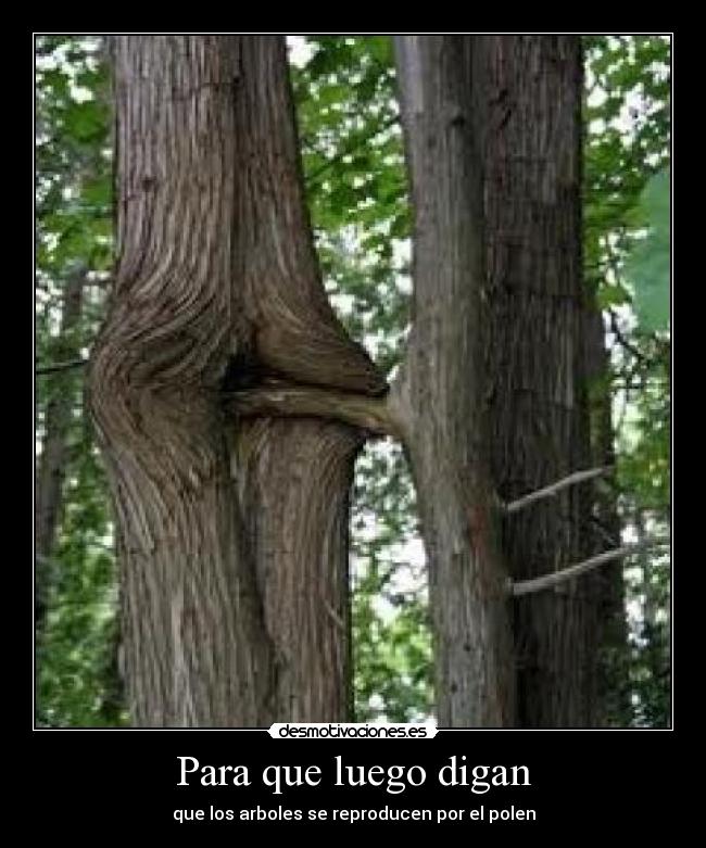 Para que luego digan -