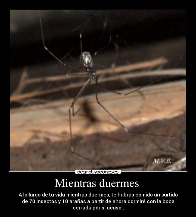 Mientras duermes  - 