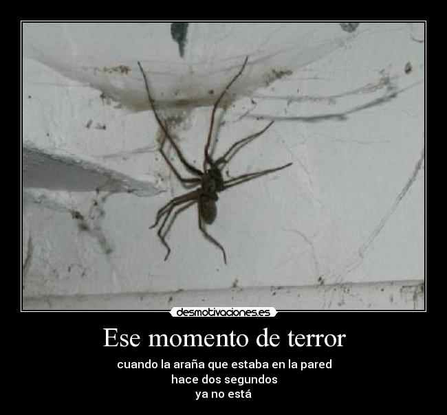 carteles ese momento terror cuando arana que estaba pared hace dos segundos estar esta est desmotivaciones