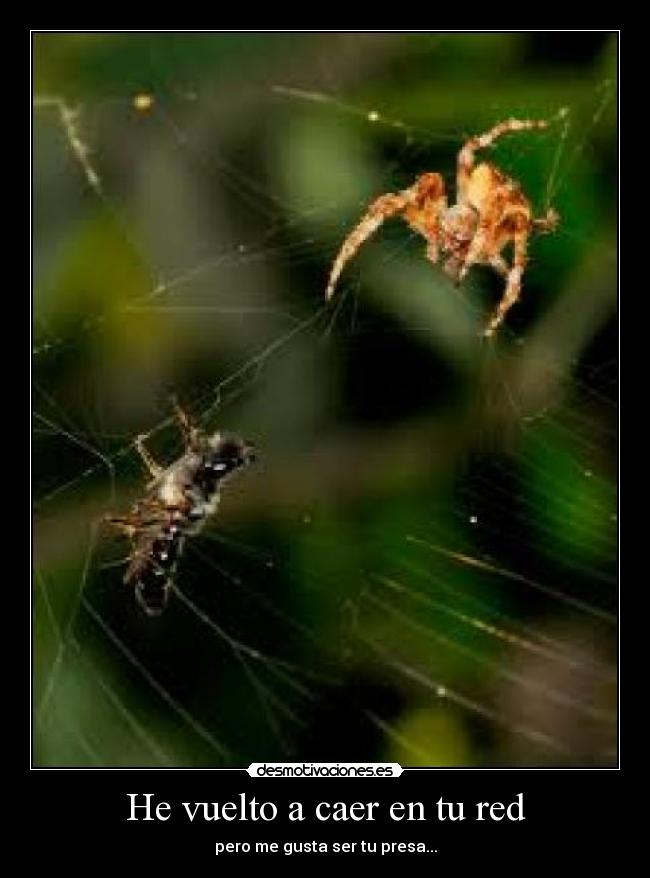 carteles desmotivaciones