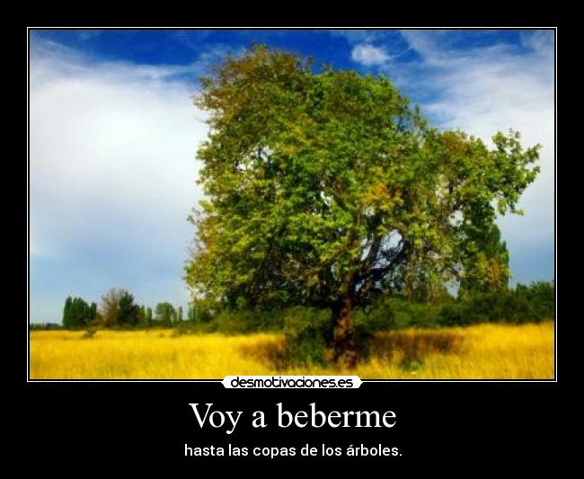 Voy a beberme - 