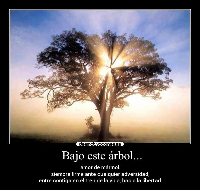 Bajo este árbol... - amor de mármol.
siempre firme ante cualquier adversidad,
entre contigo en el tren de la vida, hacia la libertad.