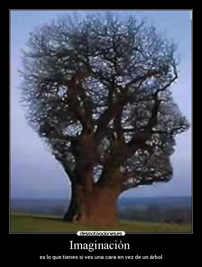 Imaginación - es lo que tienes si ves una cara en vez de un árbol.