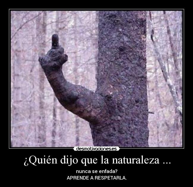 ¿Quién dijo que la naturaleza ... -