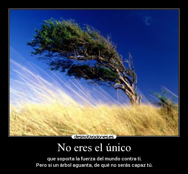 No eres el único - que soporta la fuerza del mundo contra ti.
Pero si un árbol aguanta, de qué no serás capaz tú.