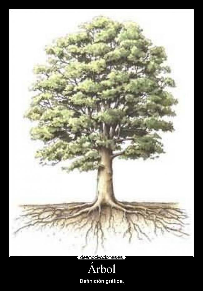 Árbol - Definición gráfica.