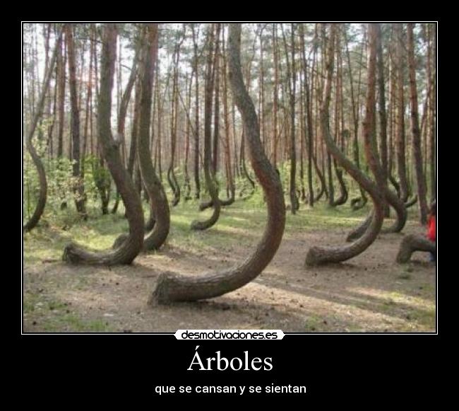 Árboles - 