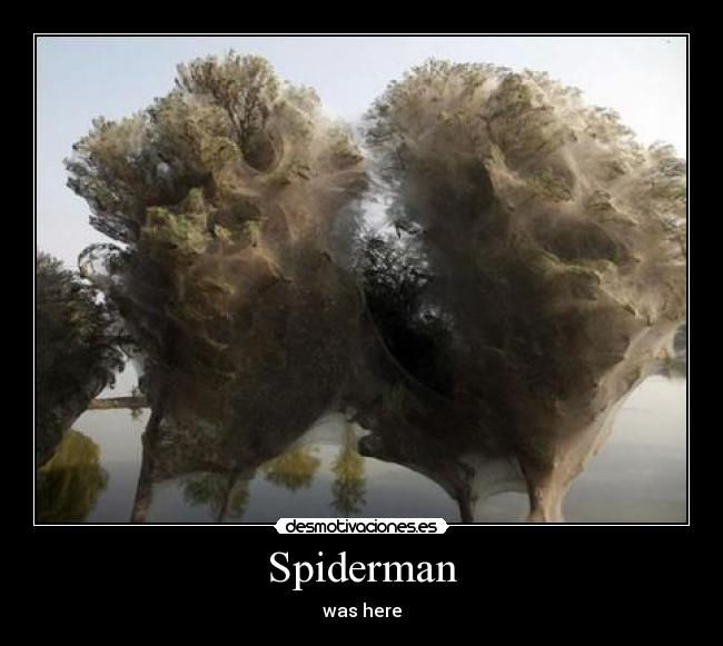 Spiderman - was here
