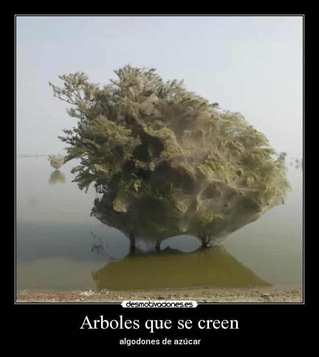 Arboles que se creen - algodones de azúcar
