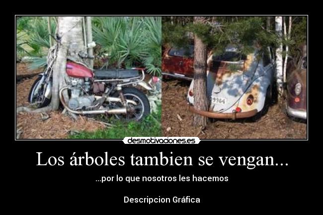 Los árboles tambien se vengan... - ...por lo que nosotros les hacemos

Descripcion Gráfica