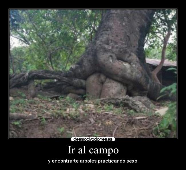 Ir al campo - y encontrarte arboles practicando sexo.