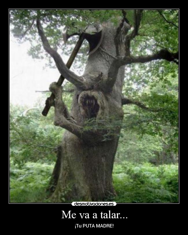 Me va a talar... -