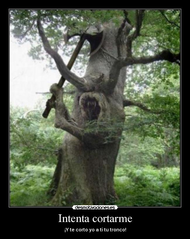 carteles intenta cortarme desmotivaciones
