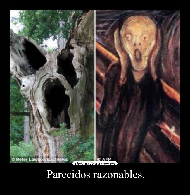 Parecidos razonables. -