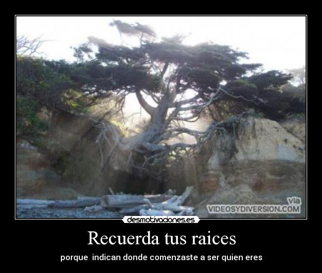 Recuerda tus raices - 