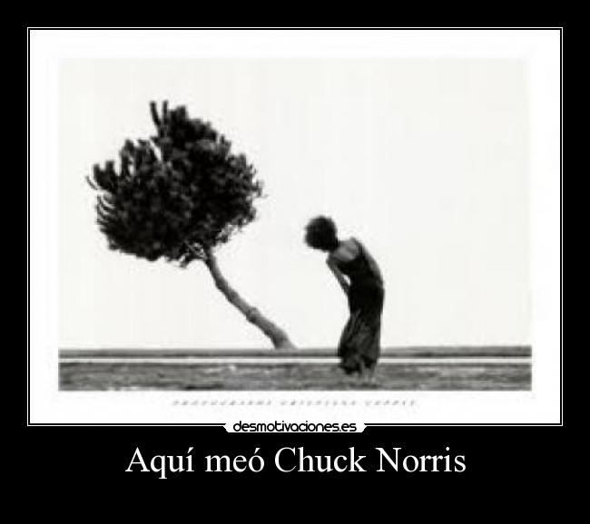 Aquí meó Chuck Norris -