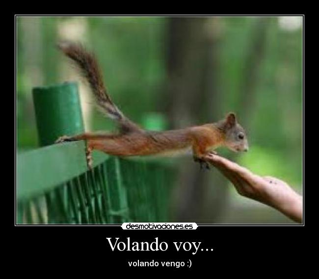 Volando voy... - volando vengo :)