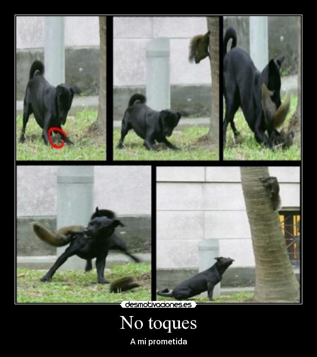 No toques -