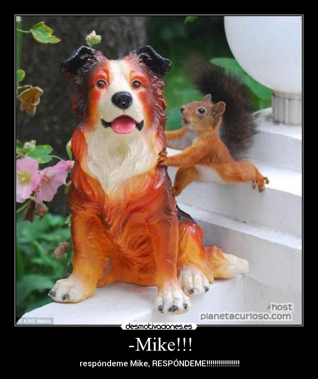 -Mike!!! - respóndeme Mike, RESPÓNDEME!!!!!!!!!!!!!!!!!