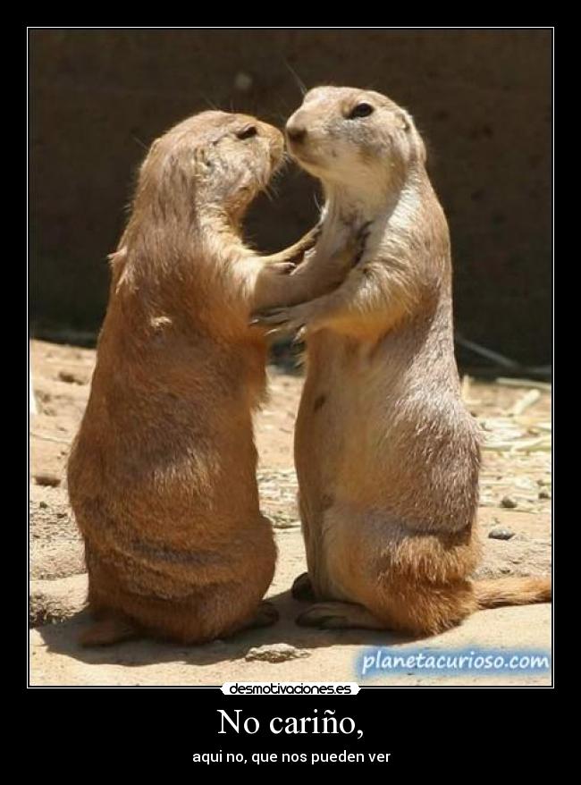 No cariño, -