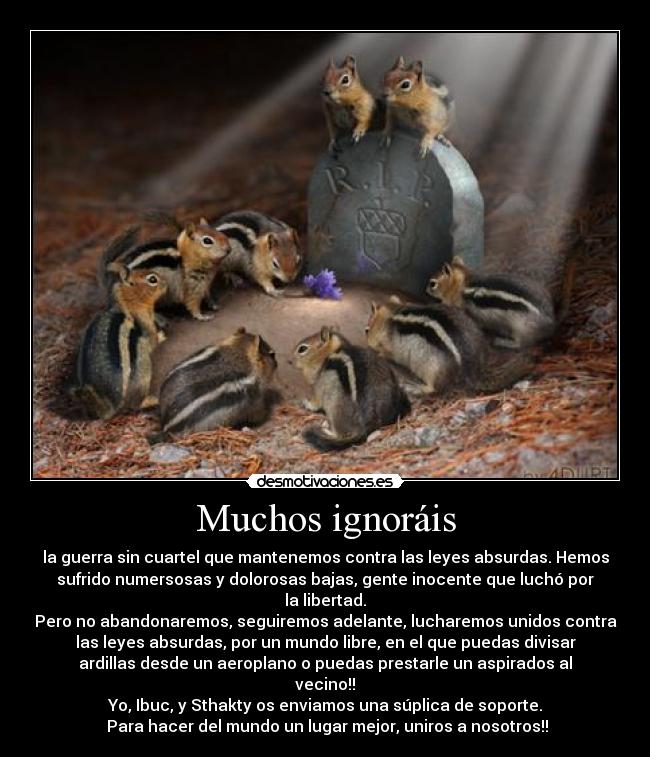 Muchos ignoráis - la guerra sin cuartel que mantenemos contra las leyes absurdas. Hemos
sufrido numersosas y dolorosas bajas, gente inocente que luchó por
la libertad.
Pero no abandonaremos, seguiremos adelante, lucharemos unidos contra
las leyes absurdas, por un mundo libre, en el que puedas divisar
ardillas desde un aeroplano o puedas prestarle un aspirados al
vecino!!
Yo, Ibuc, y Sthakty os enviamos una súplica de soporte.
Para hacer del mundo un lugar mejor, uniros a nosotros!!