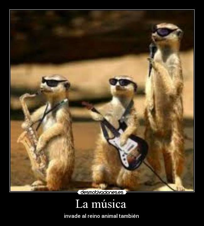La música  - 