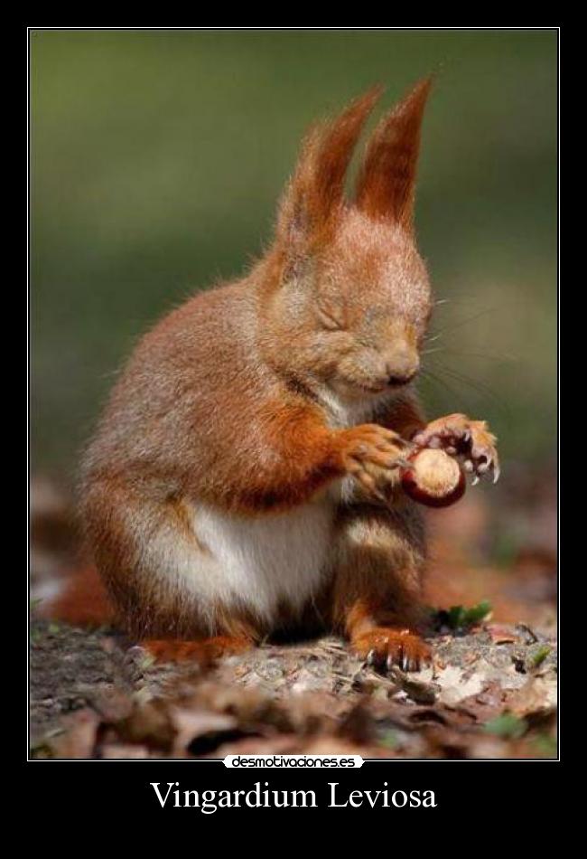 Vingardium Leviosa -