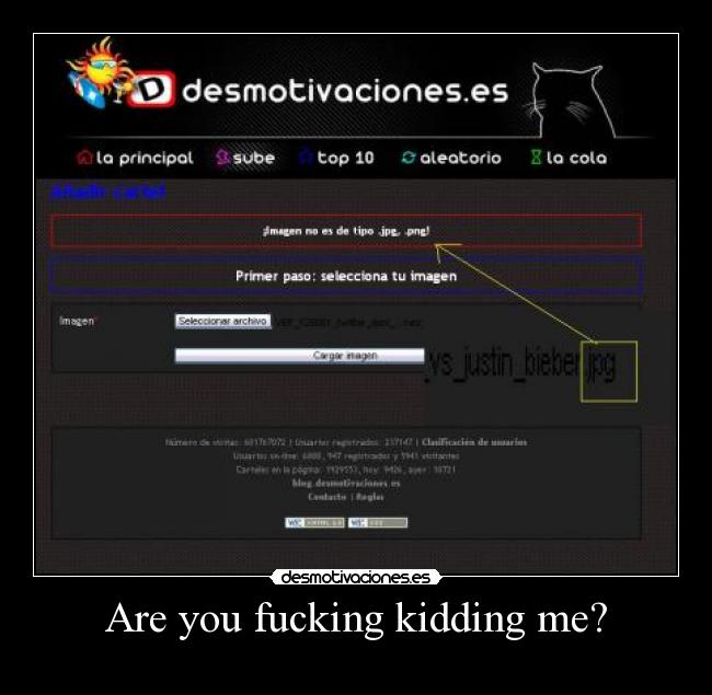 Are you fucking kidding me? -