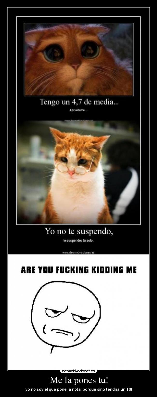 Me la pones tu! - yo no soy el que pone la nota, porque sino tendría un 10!
