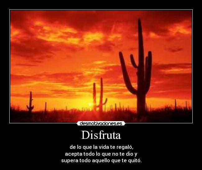 Disfruta -