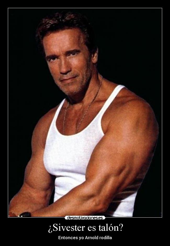 carteles tobo desmotivaciones