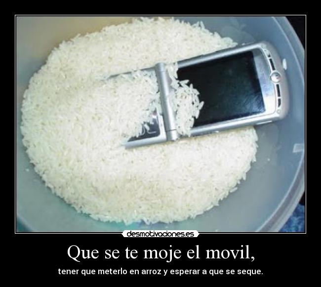 Que se te moje el movil, - tener que meterlo en arroz y esperar a que se seque.