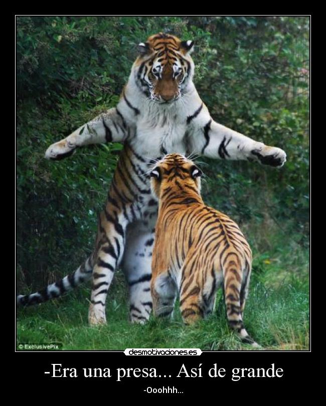 -Era una presa... Así de grande - -Ooohhh...