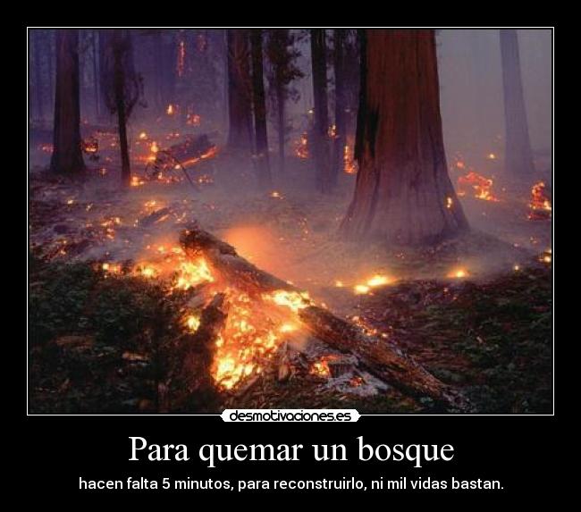 Para quemar un bosque - 