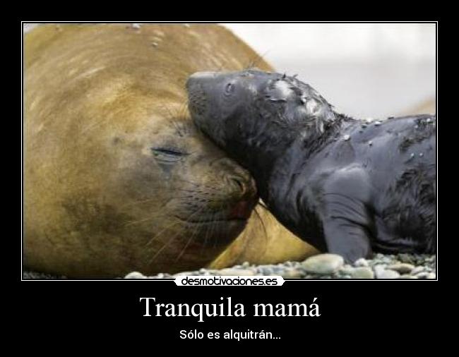 Tranquila mamá - Sólo es alquitrán...