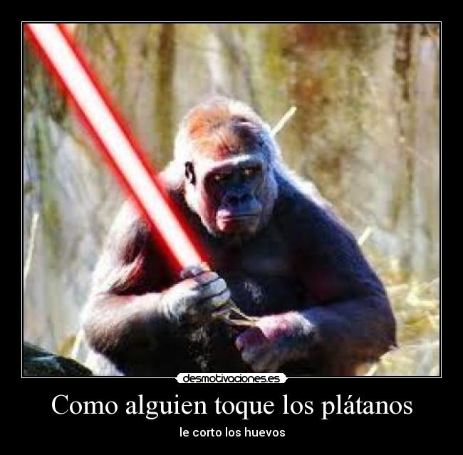 Como alguien toque los plátanos - le corto los huevos