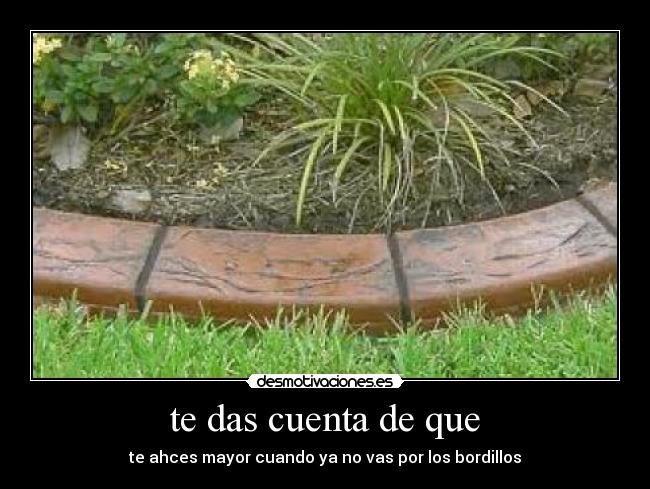 carteles ianbuisan desmotivaciones