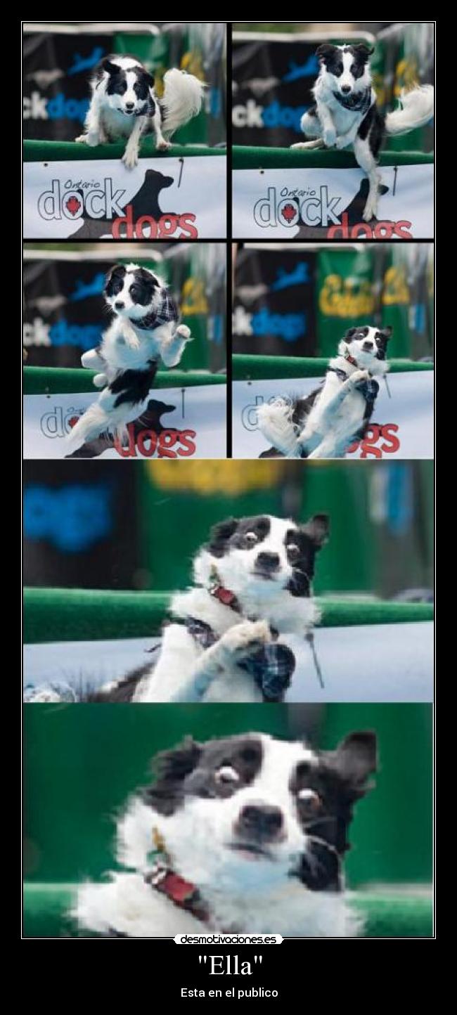 Ella - Esta en el publico