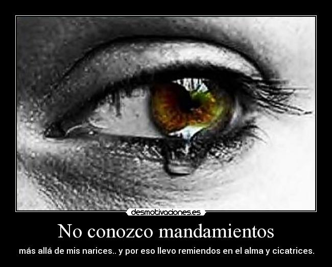 No conozco mandamientos -